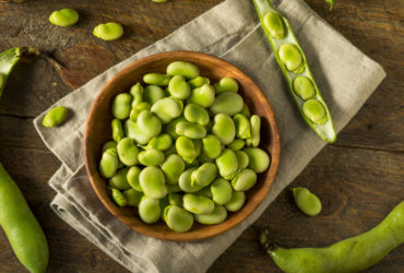 Raw Organic Fresh Green Fava Beans REady to Cook With