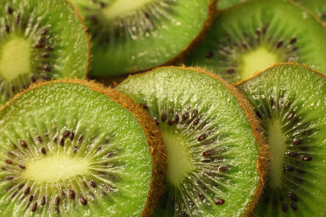 キウイフルーツはマタタビ科？