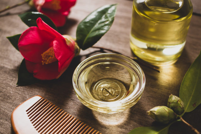 黒髪を守り、食卓を支えてきた椿油